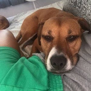 Meet your Posher, Brianna